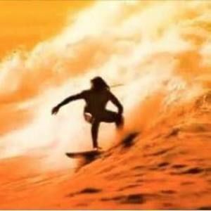 Meet your Posher, Dora